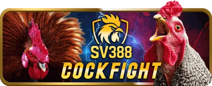 Minh họa giao diện ứng dụng VN88 với các tính năng đá gà
